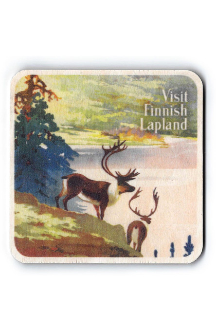 Visit Finnish Lapland, Coaster